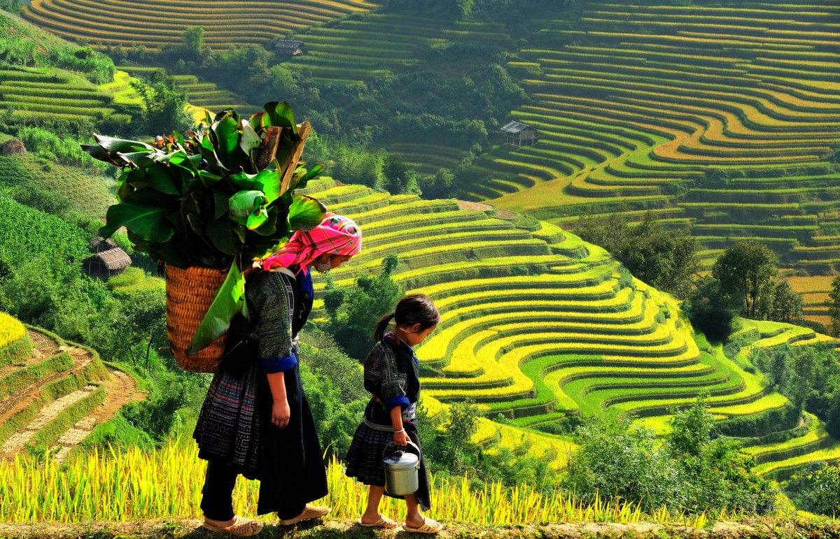 SAPA TREK HOMESTAY 03 DAY 02 NIGHTS